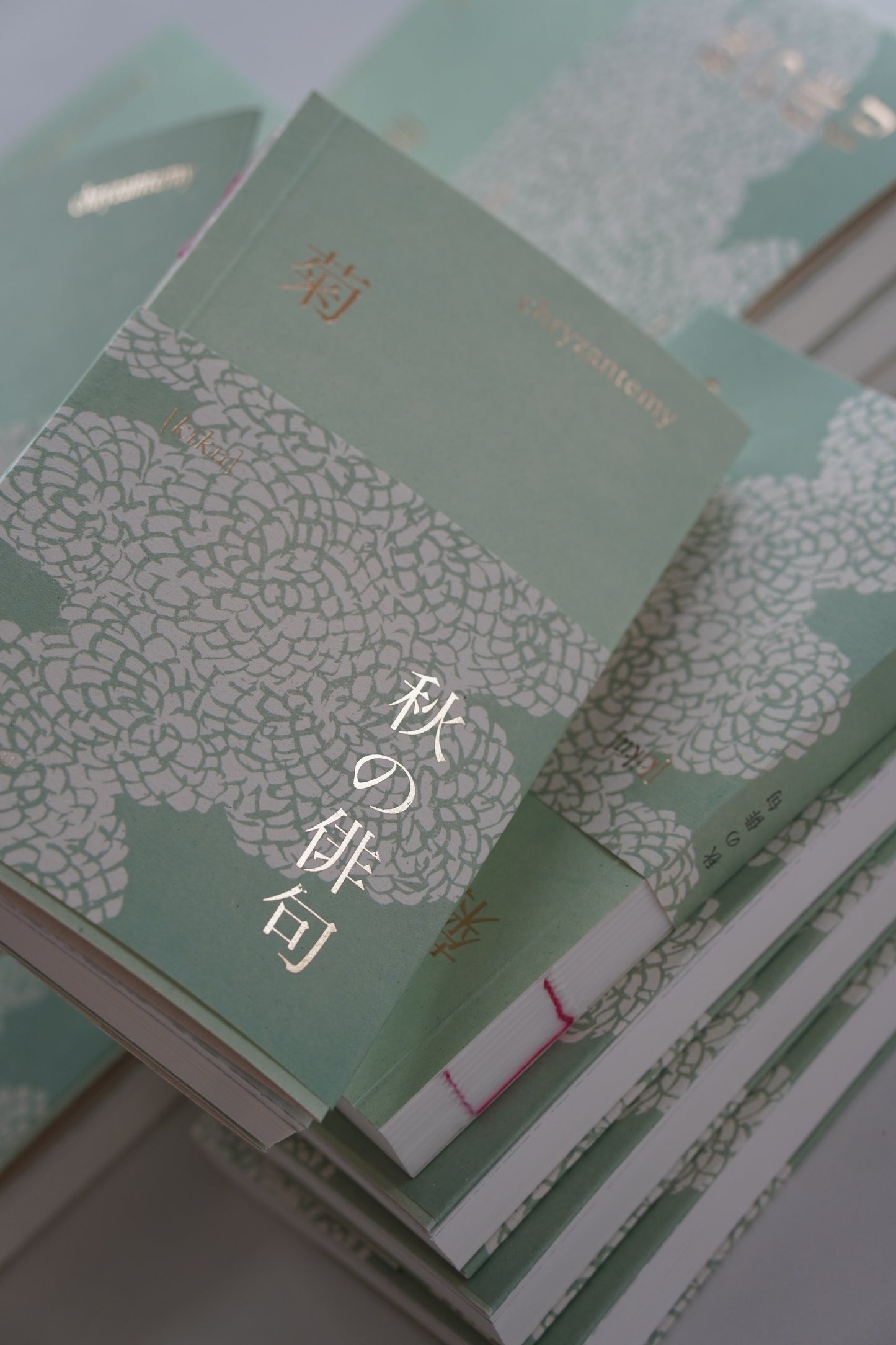 kiku. chryzantemy. haiku