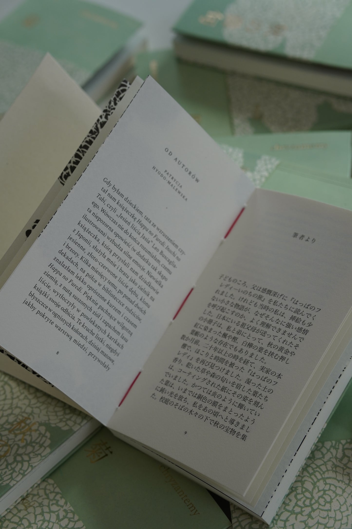 kiku. chryzantemy. haiku