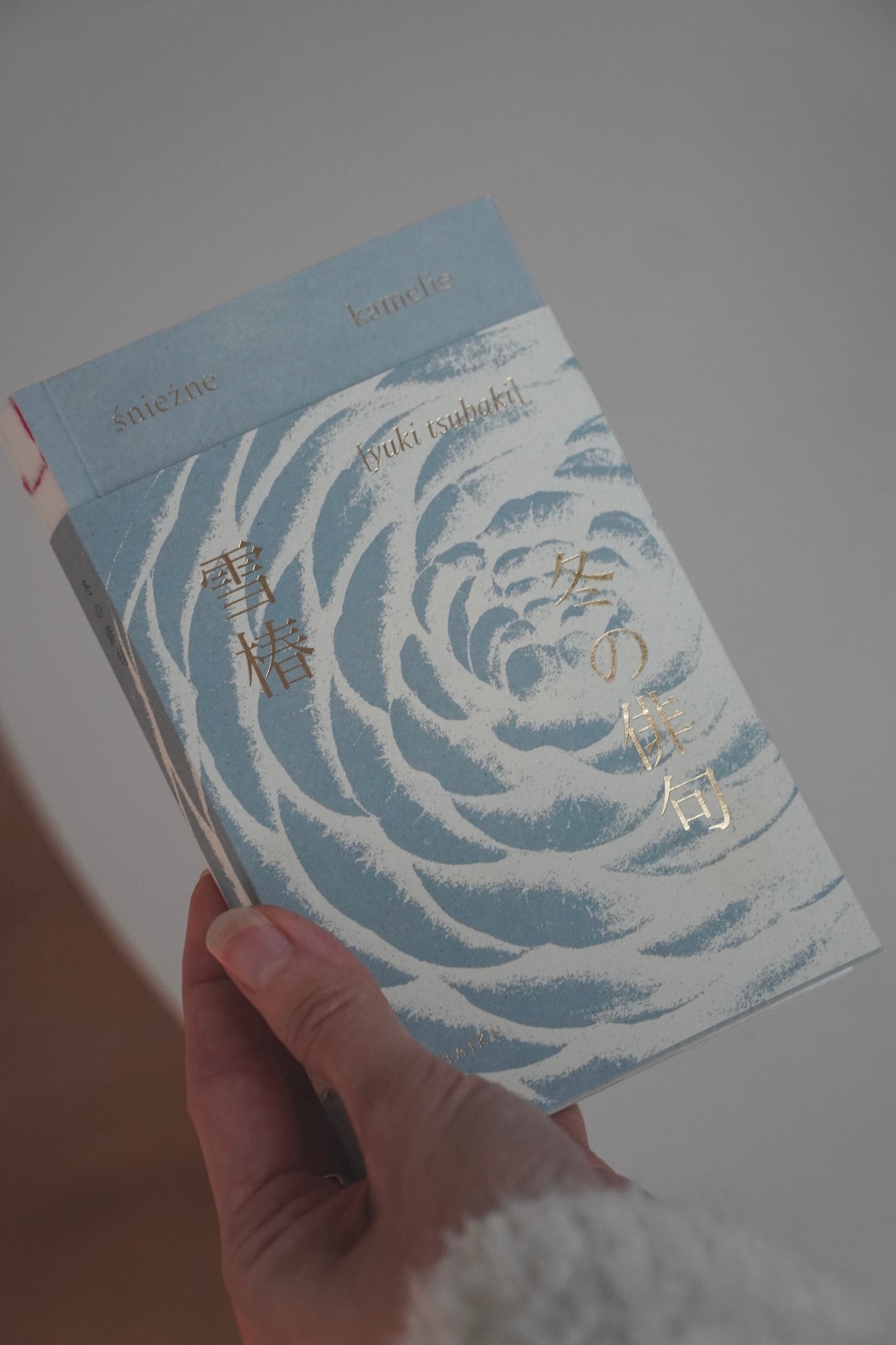 yuki tsubaki. śnieżne kamelie. haiku