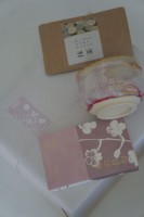 DSC01846.jpg