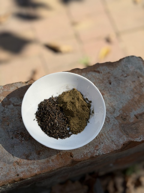 hojicha.jpeg
